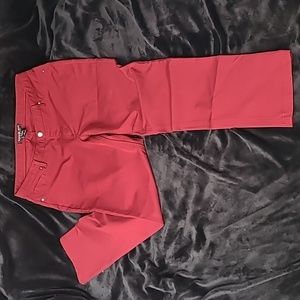 EUC Savage Art Stretch Dark Red Straight leg Pants